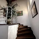 Villa Ultra Luex Tarihi