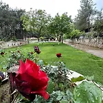 Ultra Luex Tarihi Villa Yenice (Menderes)