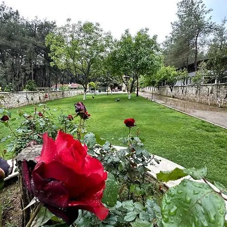 Ultra Lüx Tarihi Villa Yenice (Menderes)