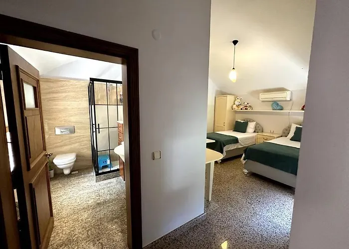 Ultra Luex Tarihi Vilă