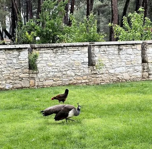 Ultra Luex Tarihi Vilă Yenice (Menderes)