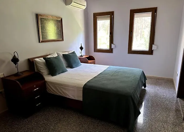 Ultra Luex Tarihi Vilă *