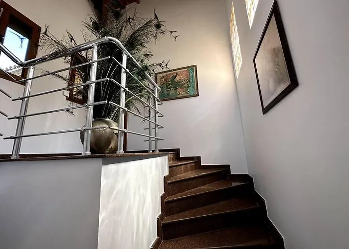 Vilă Ultra Luex Tarihi