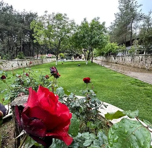 Ultra Luex Tarihi Vilă Yenice (Menderes)