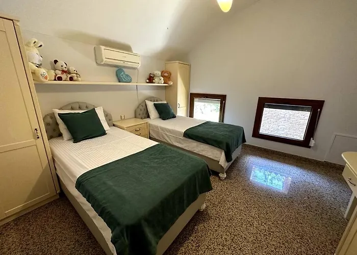 Vilă Ultra Luex Tarihi Yenice (Menderes)