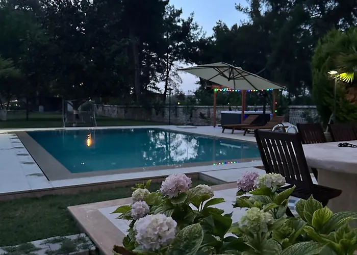 Vilă Ultra Luex Tarihi *