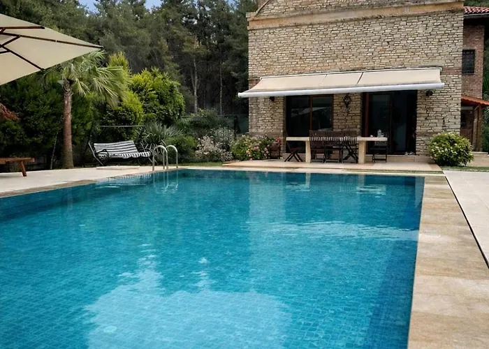 Vilă Ultra Luex Tarihi